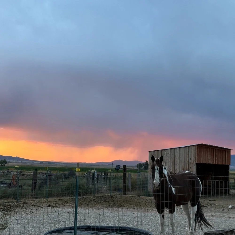 ❤️ QVC 1-99 LIVE SHOW’S WEDNESDAY, FRIDAY, & SUNDAYS 1PM-11PM MST! - Picture 11 of 13